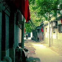 Delicious eateries hiding in hutongs