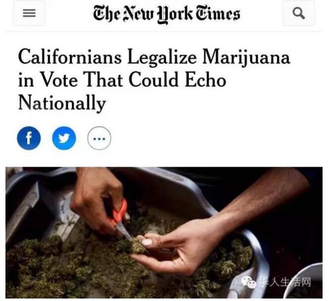 大选前，加州“迫不及待”通过大麻合法化