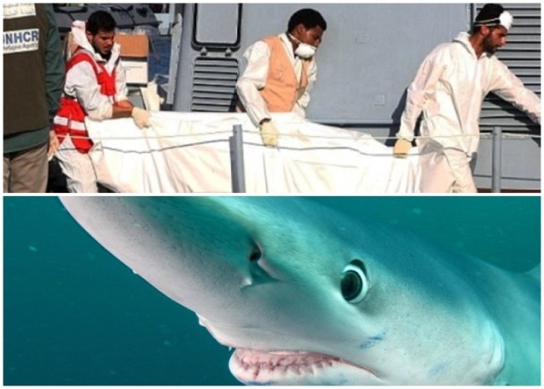太惨！地中海难民船遭鲨鱼群攻击 夺71命