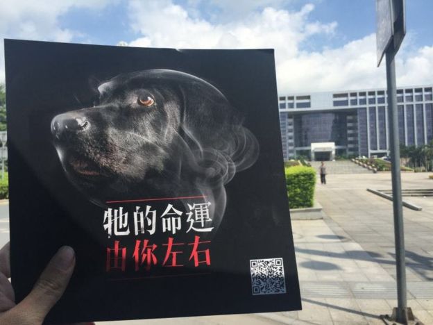 杀狗工具制作集团 致中国恐现“毒狗肉”