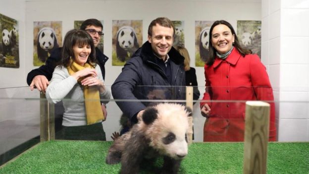 骏马对熊猫 且看法国总统如何“马克龙”
