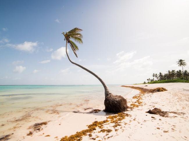 多明尼加共和国 堪称生态旅游的天堂