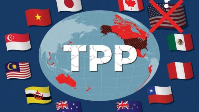TPP真的起死回生了！11国定3月智利签字