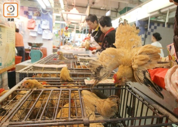 全球首宗！中国一女子染新型禽流感病毒