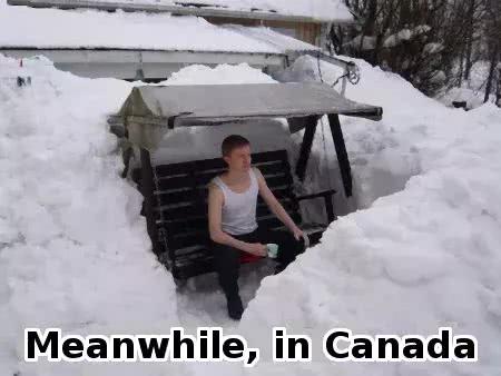 如果有人问你加拿大冬天冷不冷 请看这个