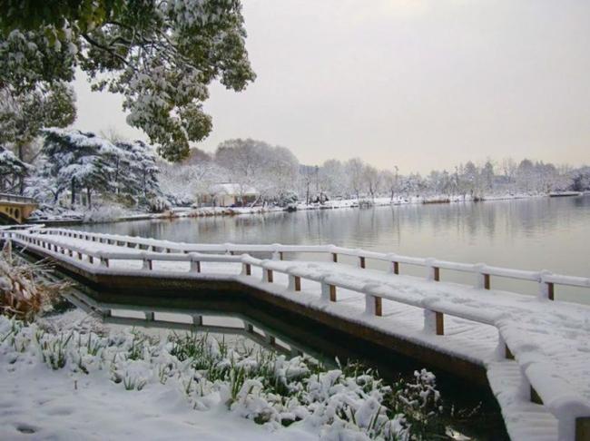 南京这座湖美如西湖 免费开放受游人点赞