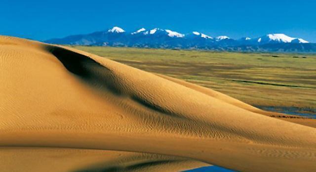 中国最大的沙漠也有水源 而且还很美