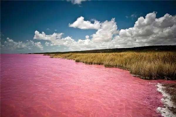 少女心炸裂 这里的湖水居然是粉色的