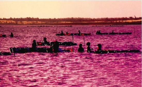 色彩控此生必去的全球五大粉色湖泊