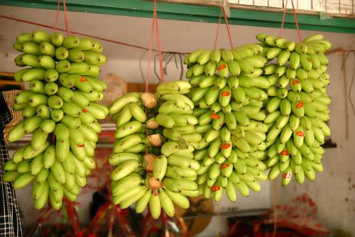 海南旅游之必吃的十五种水果不可错过