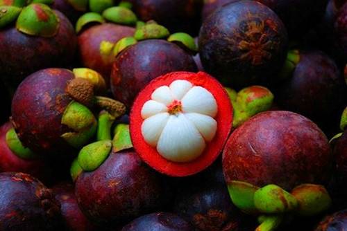 海南旅游之必吃的十五种水果不可错过