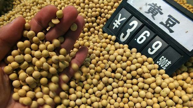 中国通货膨胀加速，东北农民拒种大豆 （志愿者提供/记者乔龙）