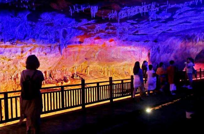 世界最神秘洞穴：洞内鱼类透明见骨