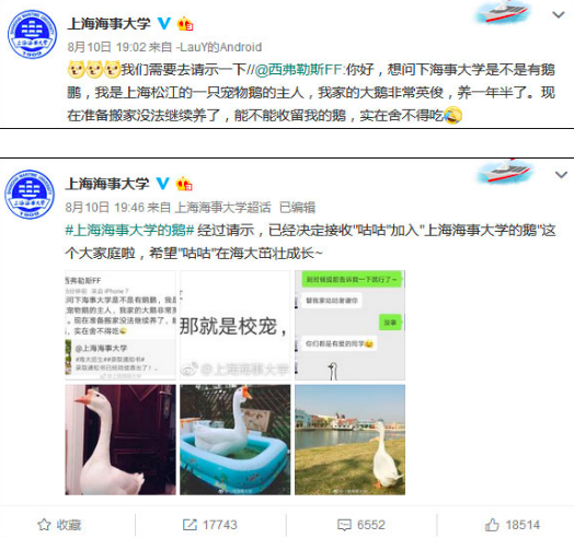 上海海事大学“录取”一只鹅