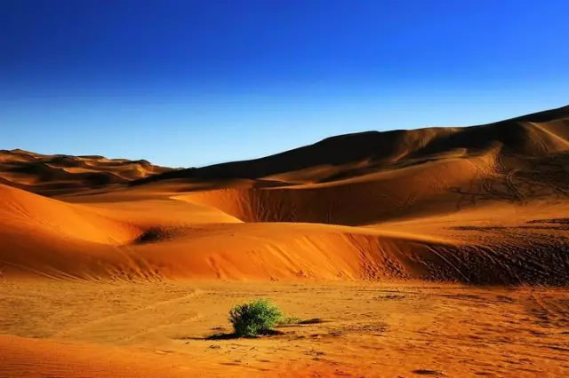 世界上距沙漠最近的城市 一半沙一半城