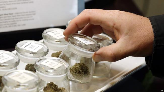 加拿大成为第二个休闲用大麻合法化国家