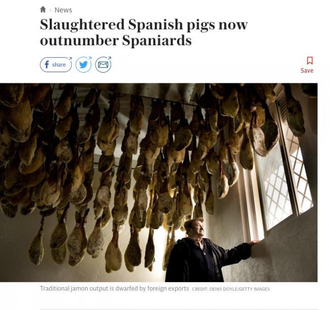 双11剁手党有多狠 西班牙把猪都宰光了
