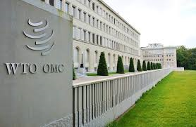 WTO改革 中美争执不下 互不相让