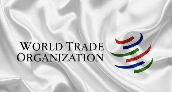 中国支持WTO改革 但禁试图对华施紧箍咒