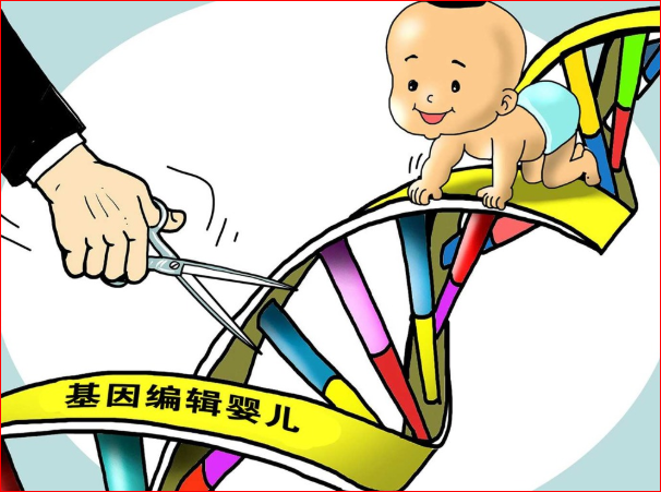 西方专家批基因编辑婴儿 对科学的蔑视