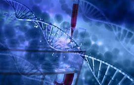 基因编辑人体临床试验将在美启动
