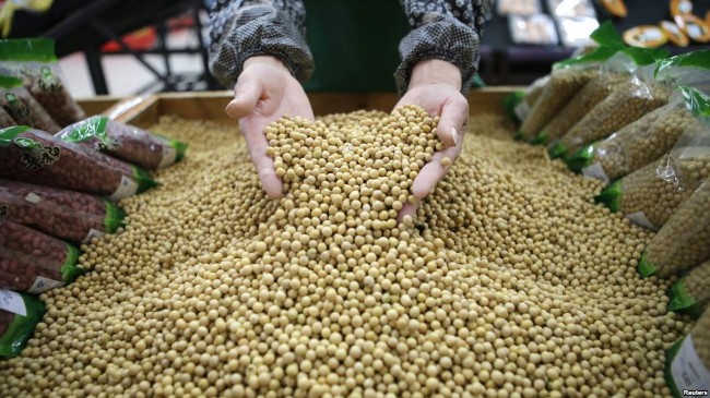 中国开始从美国购买数量巨大的大豆