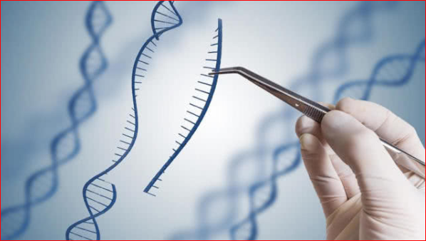 基因编辑婴儿试验注册申请被驳回