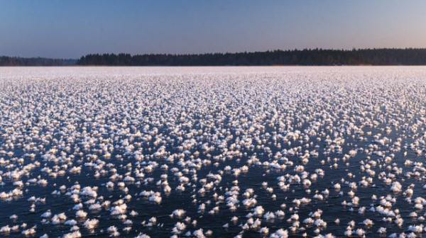 几十年一遇 俄罗斯湖面开出朵朵"冰花"