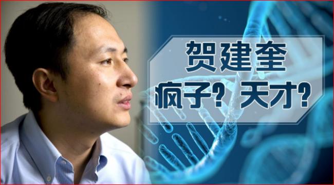 基因编辑婴儿中国科学家或面临死刑