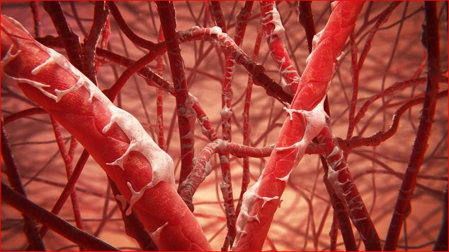科学家们培育出了完美的人造血管