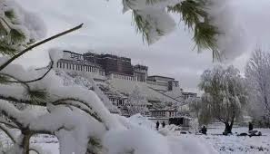 西藏遭遇强降雪  局部深2公尺