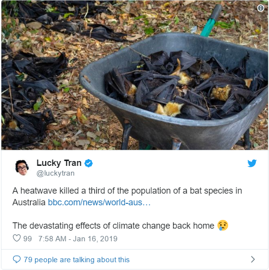 南北半球气候两重天 澳大利亚热死蝙蝠