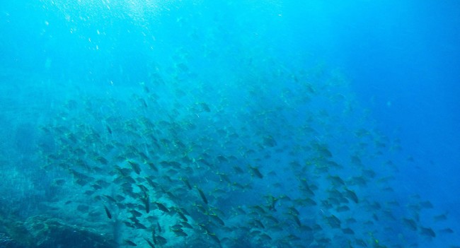 科学家在海底发现全人类的巨大威胁