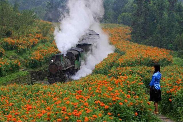 中国全球仅有的小火车 比大熊猫还珍贵