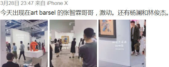 杨澜看艺术展被偶遇 50岁的面容令人感慨
