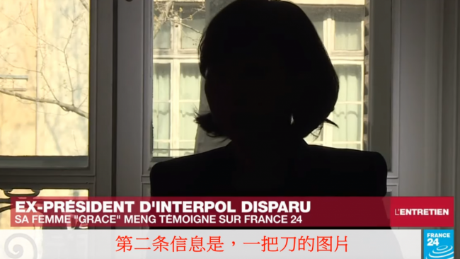 孟宏伟妻电视专访：“肮脏”的政治迫害