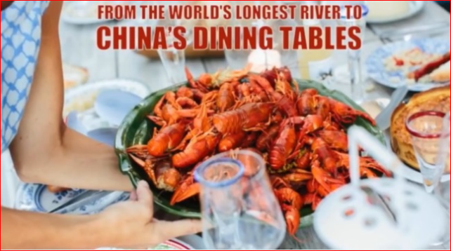 小龙虾"变废为宝" 这个国家感谢中国