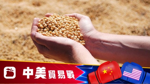 美进口大豆总量暴跌超7成 中国：美国损人害己
