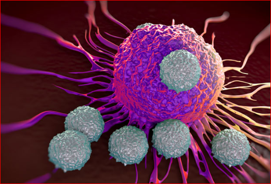 抗癌取得重大发现 科学家成功合成海绵分子