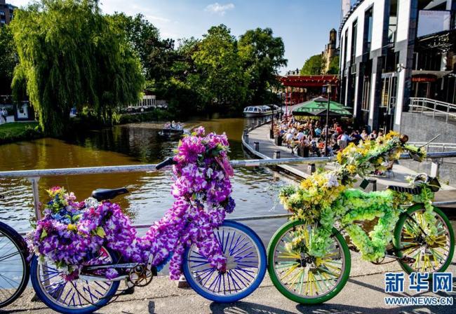 骑行荷兰 享受健康绿色的旅行方式