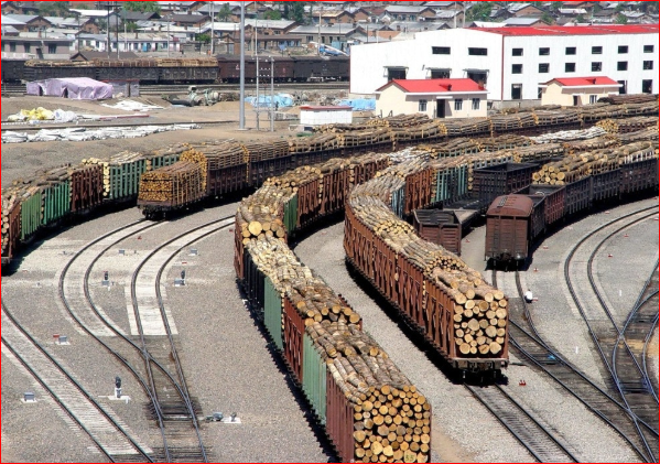 俄罗斯威胁全面禁止出口木材 北京罕见支持