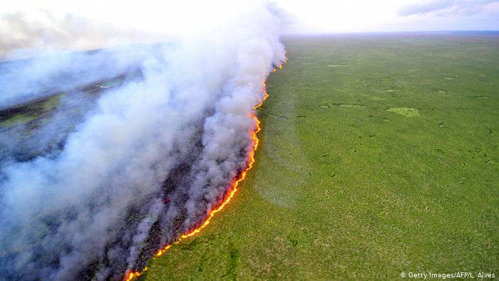 Brasilien Waldbrände (Getty Images/AFP/L. Alves)