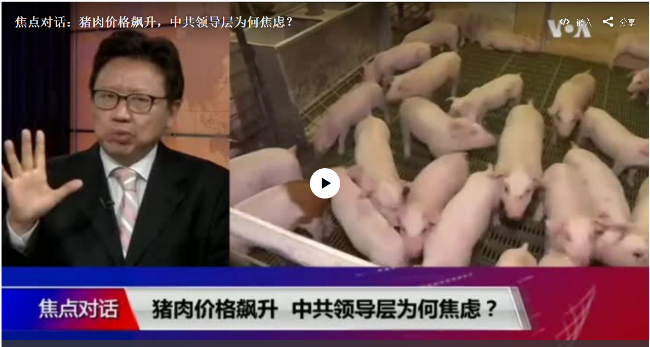 焦点：猪肉价格飙升，中共领导层为何焦虑？