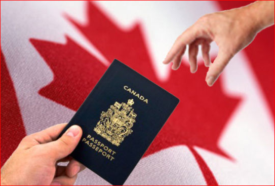 加拿大工签移民作假问题严重