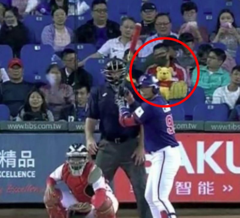 昨亞錦賽中華對戰大陸隊賽事中，有網友發現本壘後方竟出現一隻小熊維尼玩偶，意外引爆網友熱議！（圖片翻攝PTT）