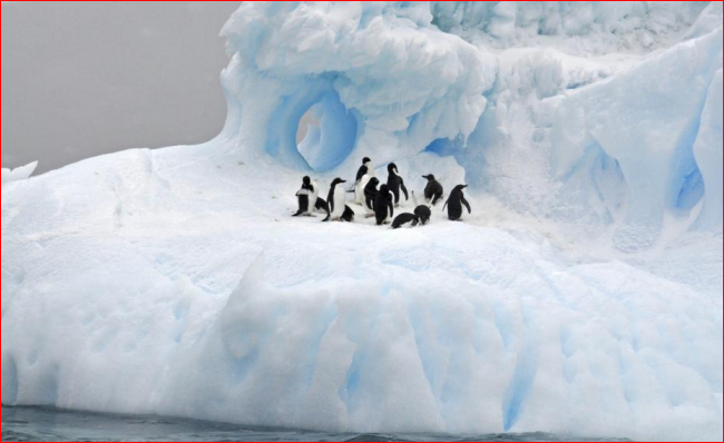 中俄再联手 南极海洋保护区流产