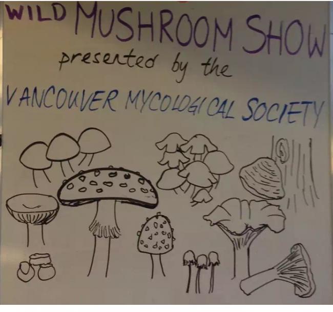Mushroom Huntingʮ½ɽĢ
