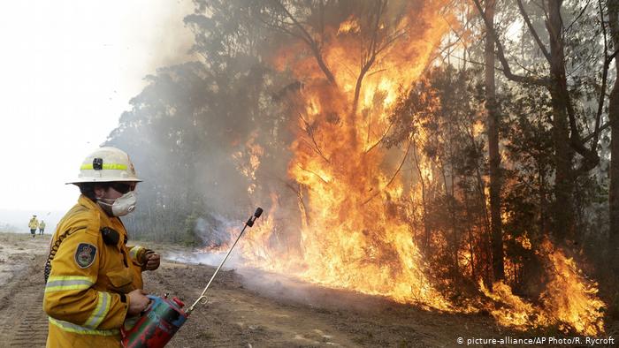 Australien Waldbrnde | Feuerwehr (picture-alliance/AP Photo/R. Rycroft)