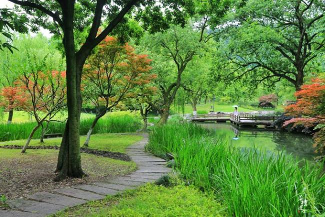 杭州这个公园霸占了西湖一半的美 充满田园风韵