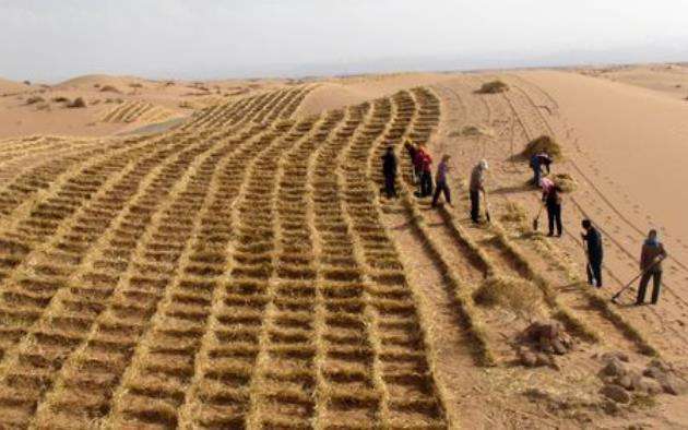 中国最大沙漠 什么时候能变成绿洲？